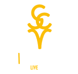 STREAMung_Logo_ver_wgelb.svg